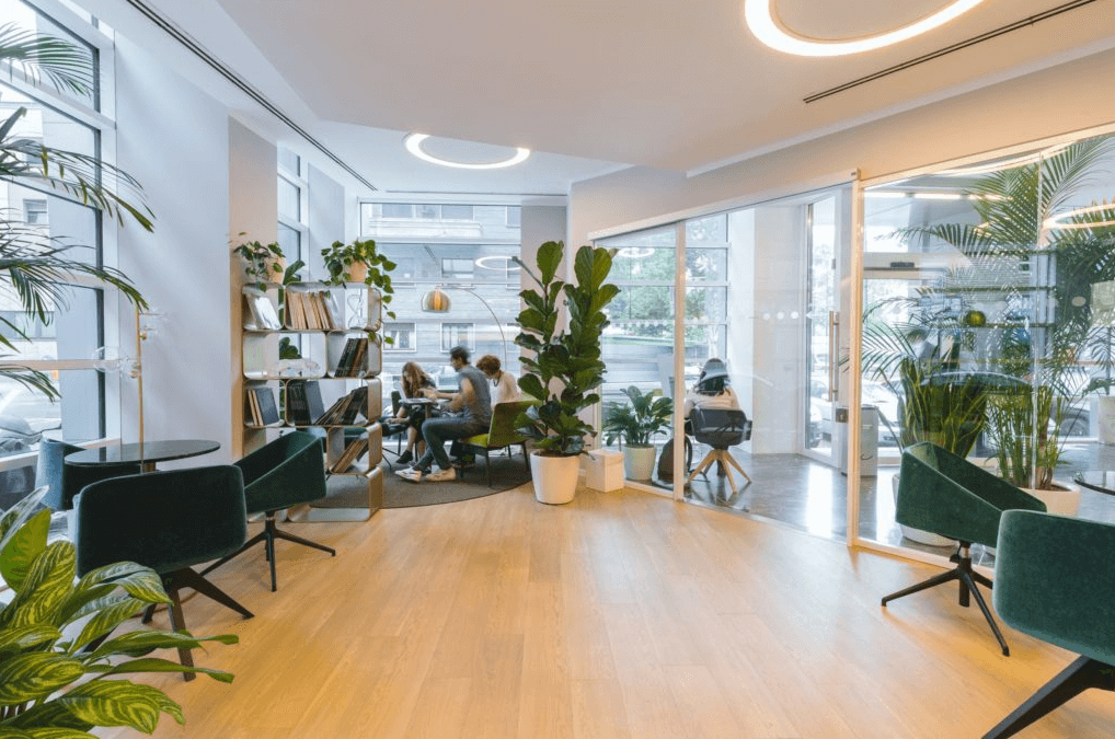 Do You Need a Business License to Rent Office Space in Northdale?